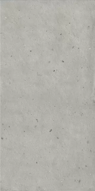 Авангард Сильвер 60X120 Рет Х2