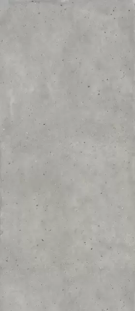 Авангард Сильвер 120X278