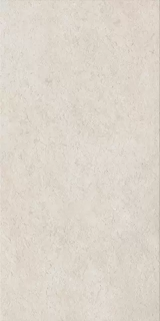 Фоссил Пьюр 60X120 Рет Х2