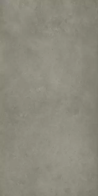 Фоссил Блэк 60X120 Рет