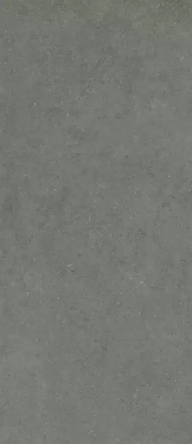 Форум Стоун Айрон 120X278