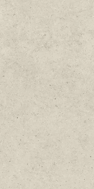 Форум Стоун Пьюр 60X120