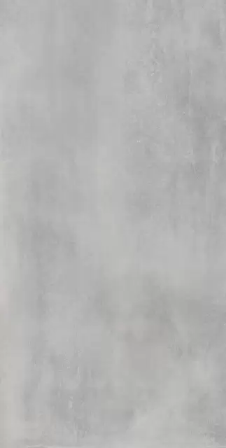 Астро Сильвер 60X120 Рет