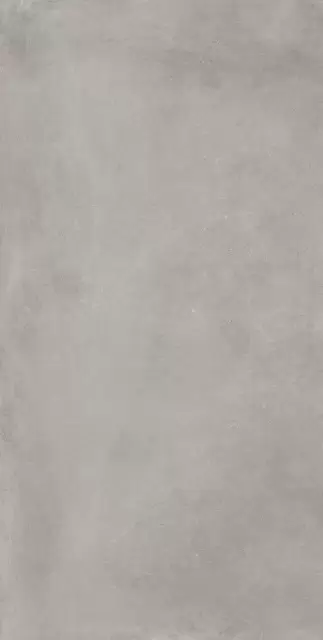 Сан-Сиро Грэй 60X120 Рет