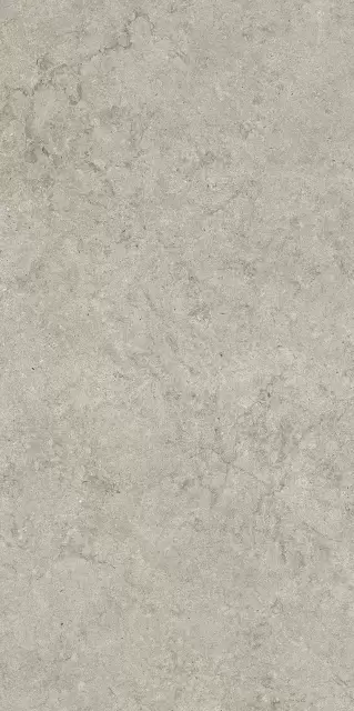 Саленто Грэй 60X120 Рет