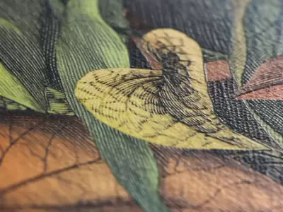 Фабрика WANDERWALL FOLIAGE