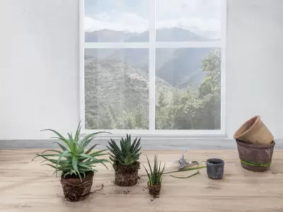 Фабрика LEGNO VENEZIA